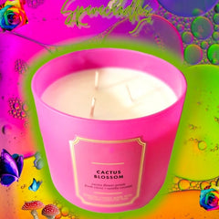Cactus Blossom 3 Wick Candle