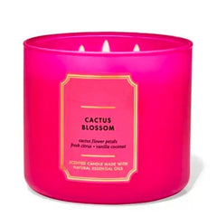 Cactus Blossom 3 Wick Candle