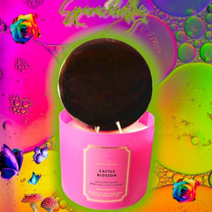 Cactus Blossom 3 Wick Candle