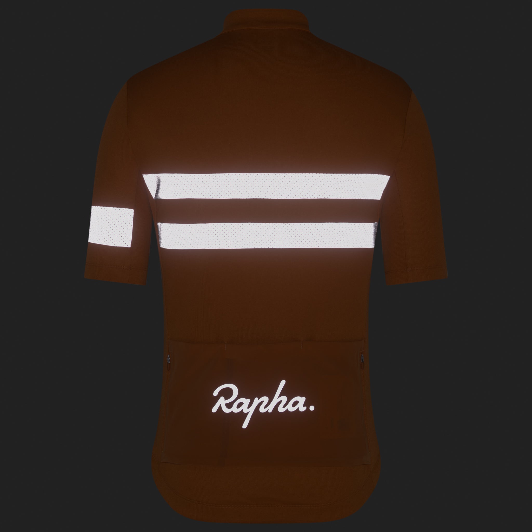 Men's Brevet Jersey