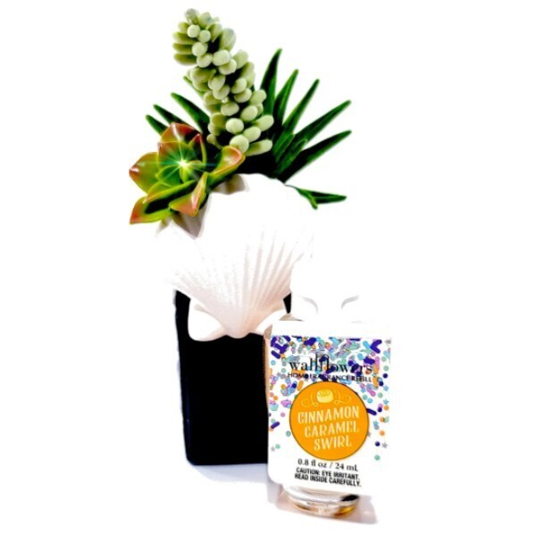 Succulent Seashell Wallflower Plug & Caramel Swirl Bulb