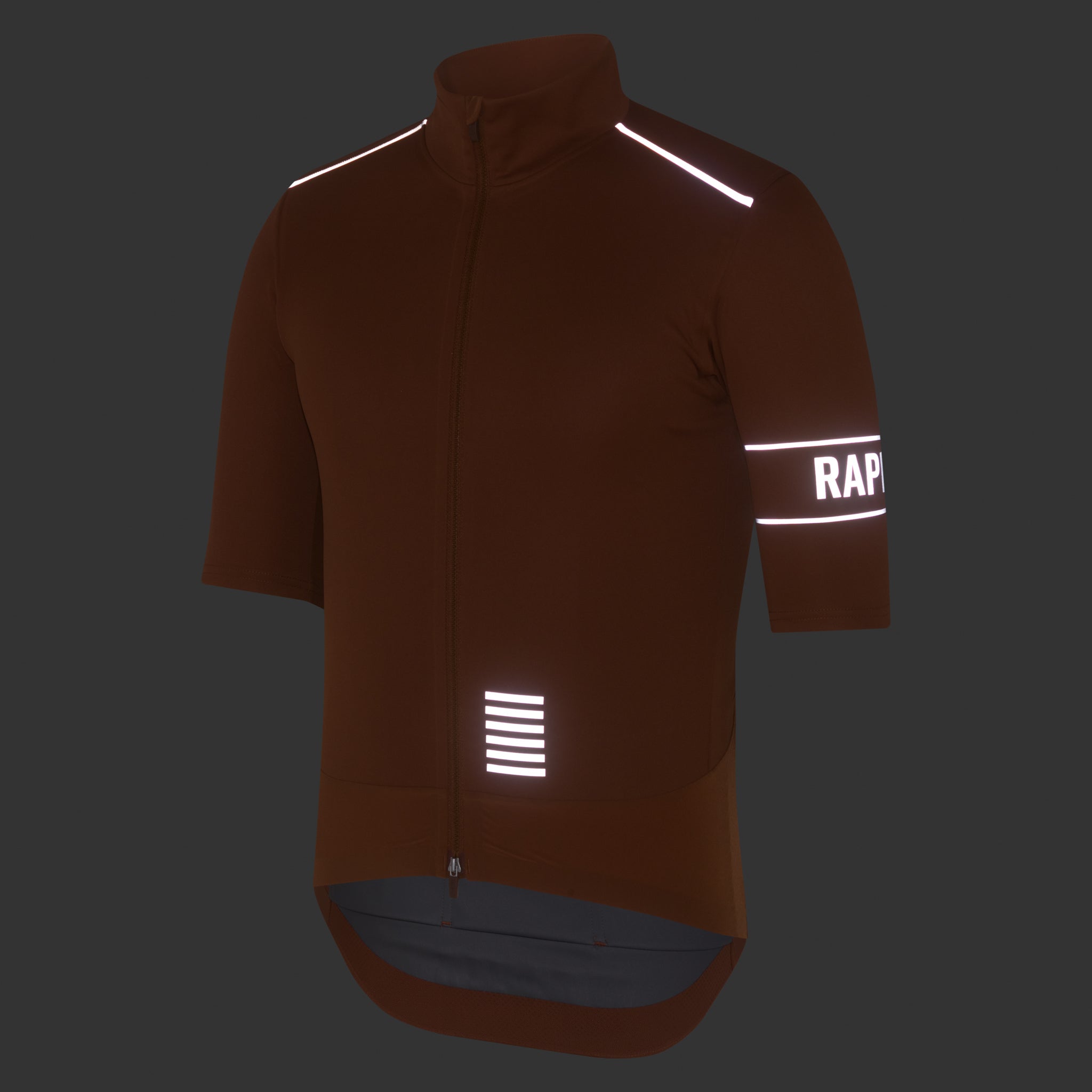 Men's Pro Team GORE-TEX Windstopper Jersey