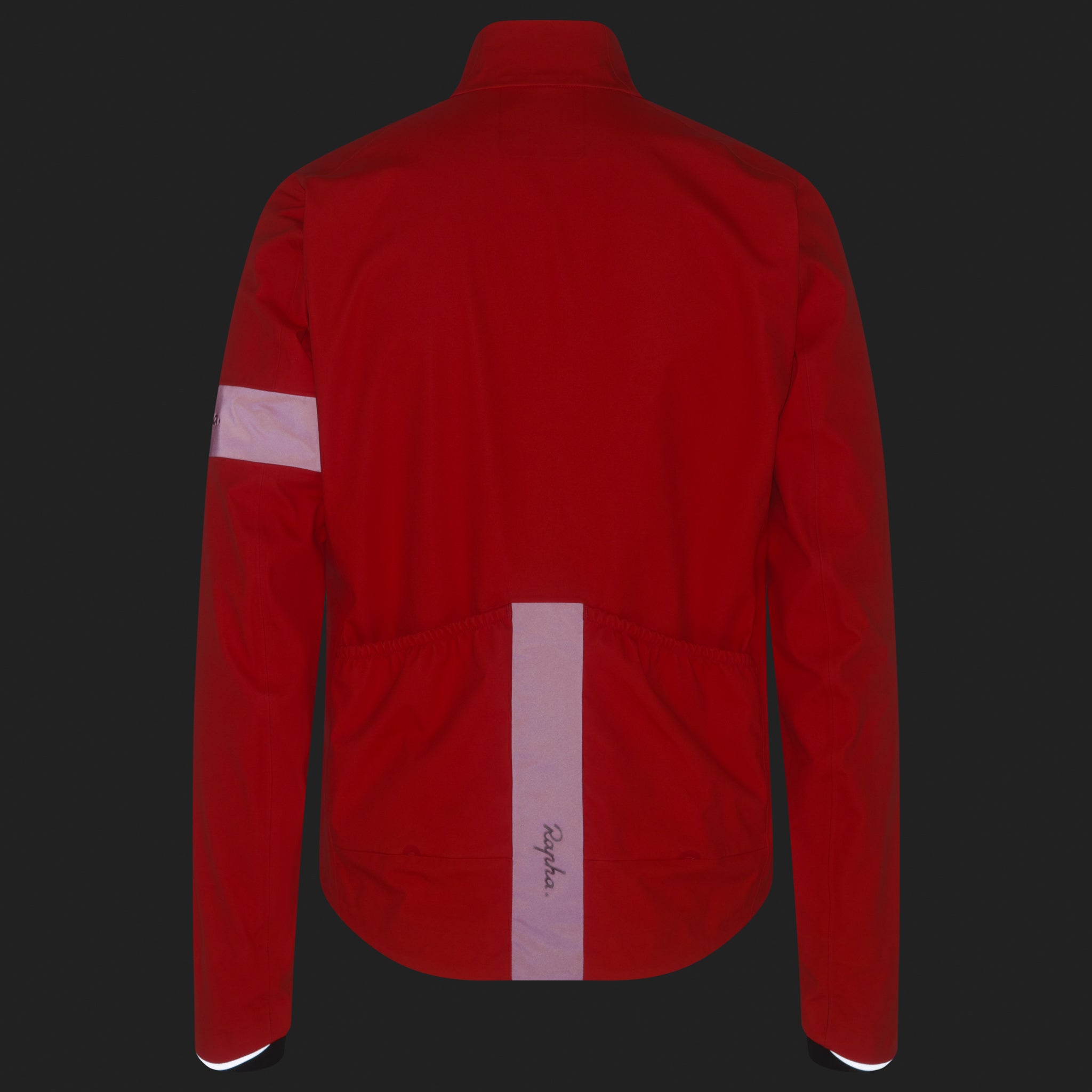 Men's Classic GORE-TEX Winter Jacket
