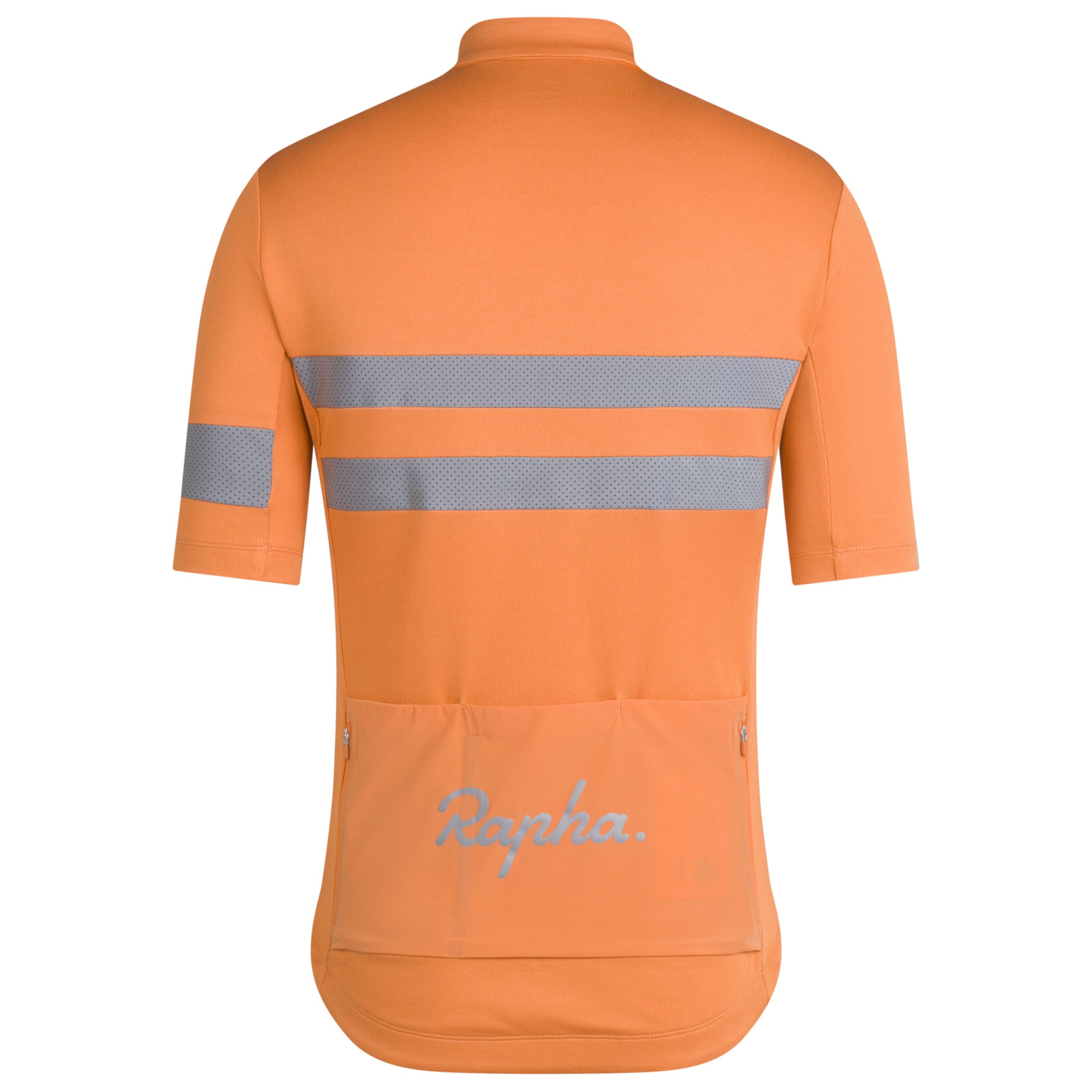 Men's Brevet Jersey