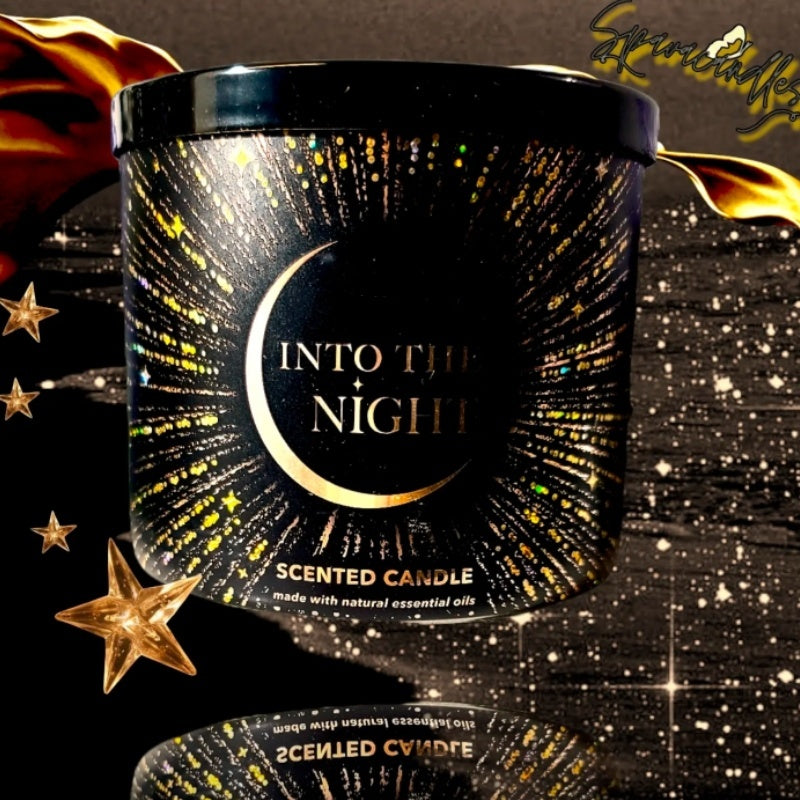 Into the Night 3 Wick Candle