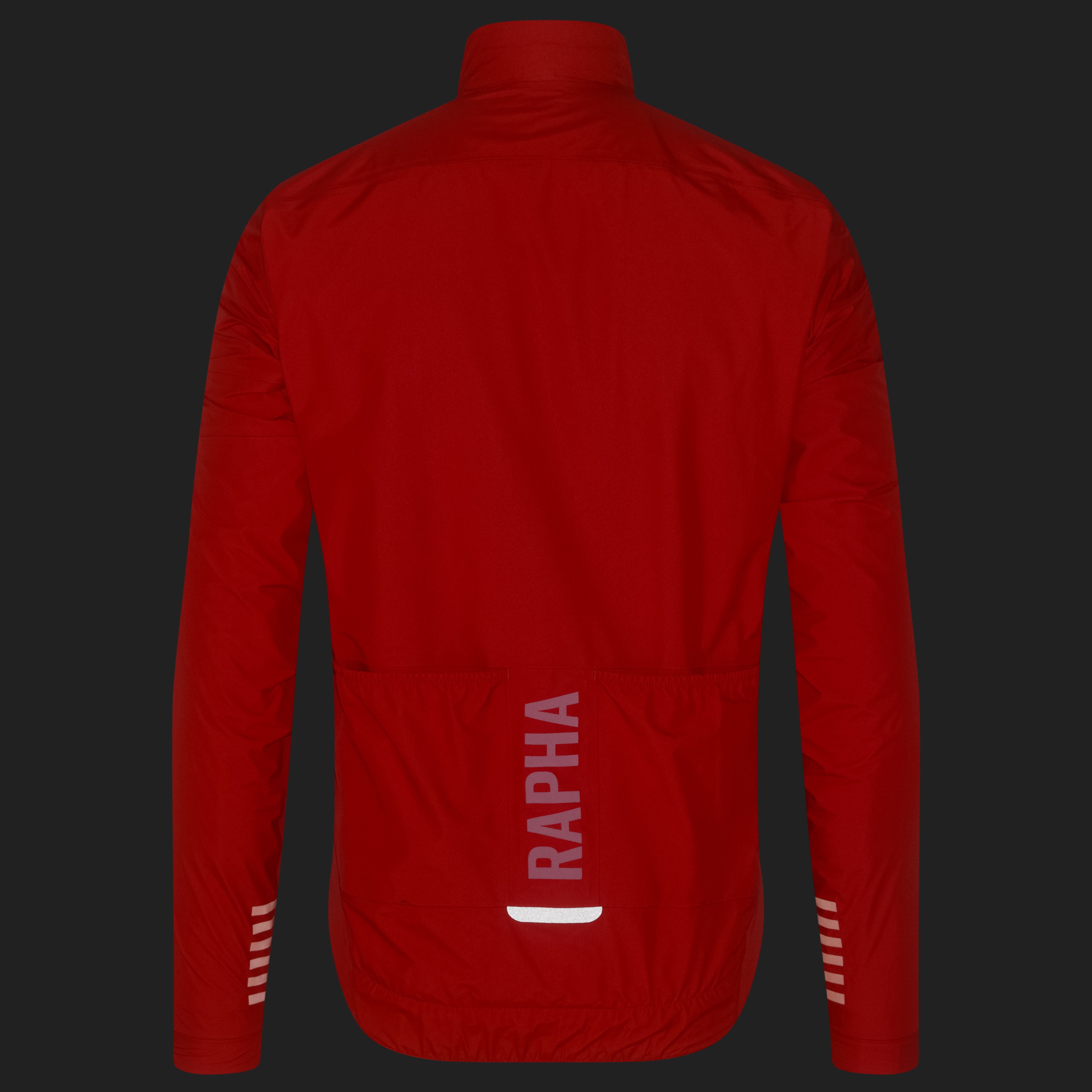 Men's Pro Team Insulated GORE-TEX Rain Jacket