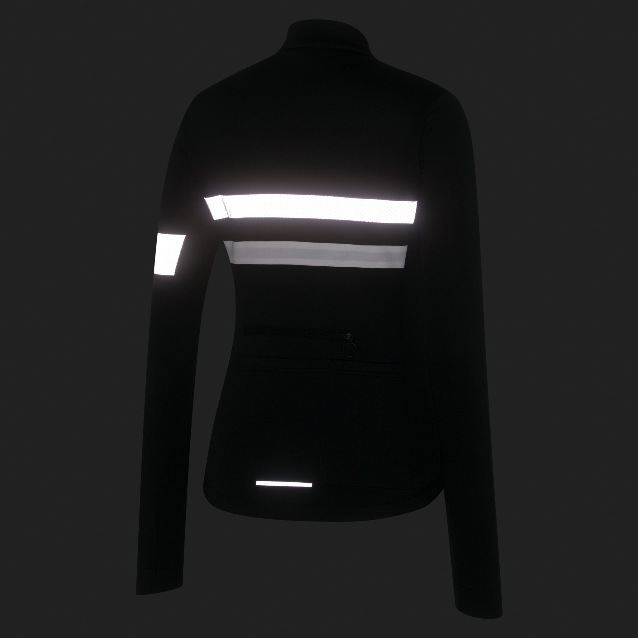 Women's Brevet Long Sleeve Jersey