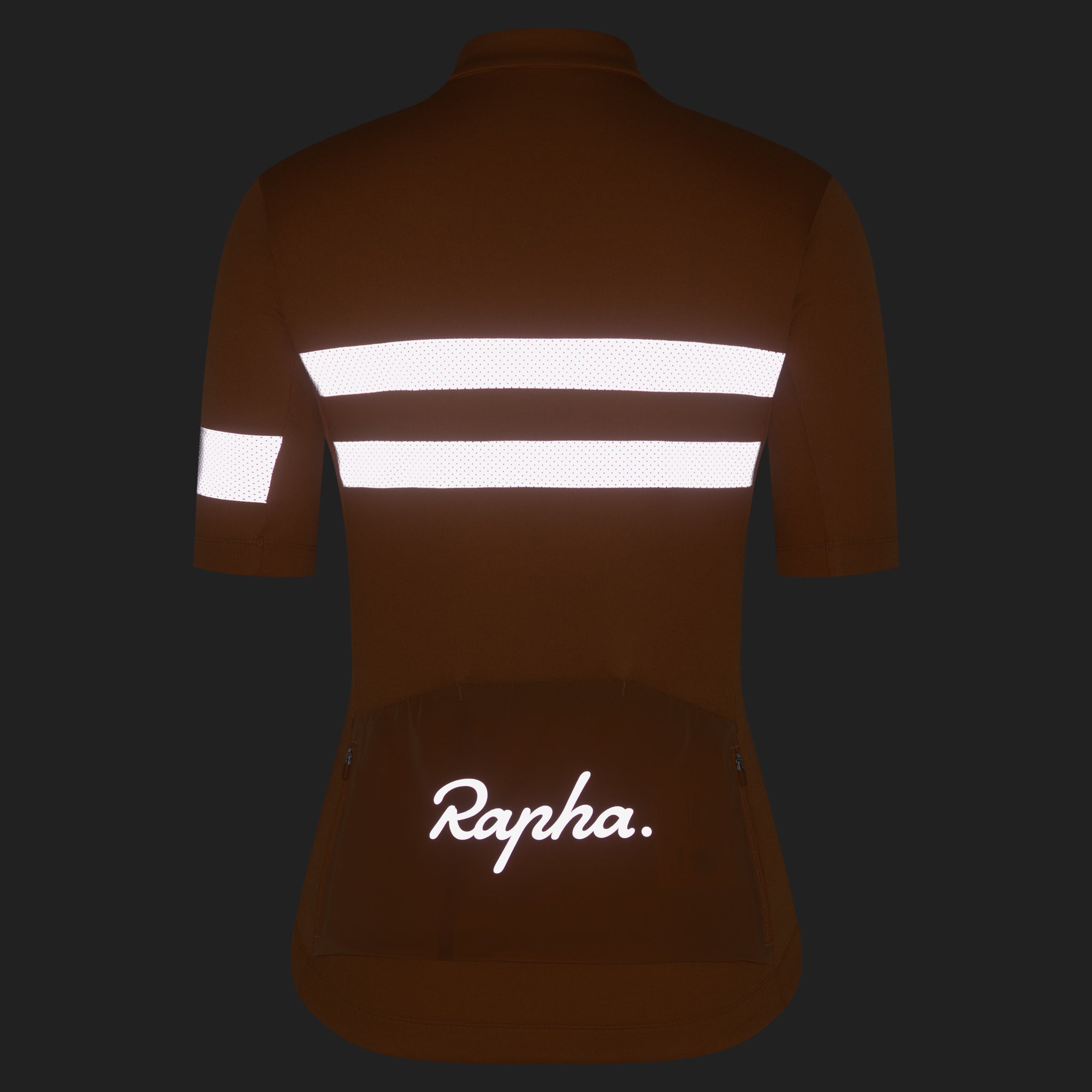 Women's Brevet Jersey