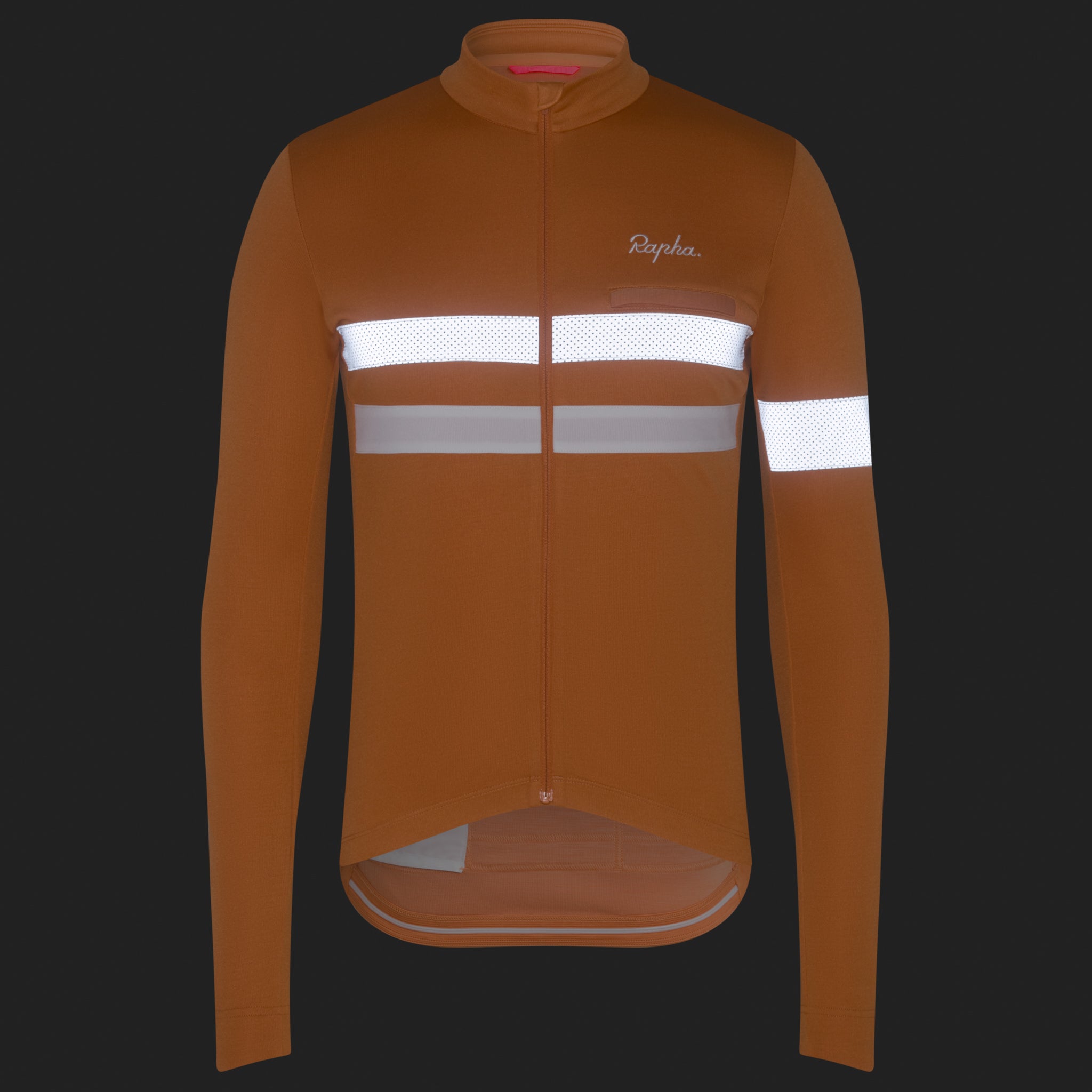 Men's Brevet Long Sleeve Jersey