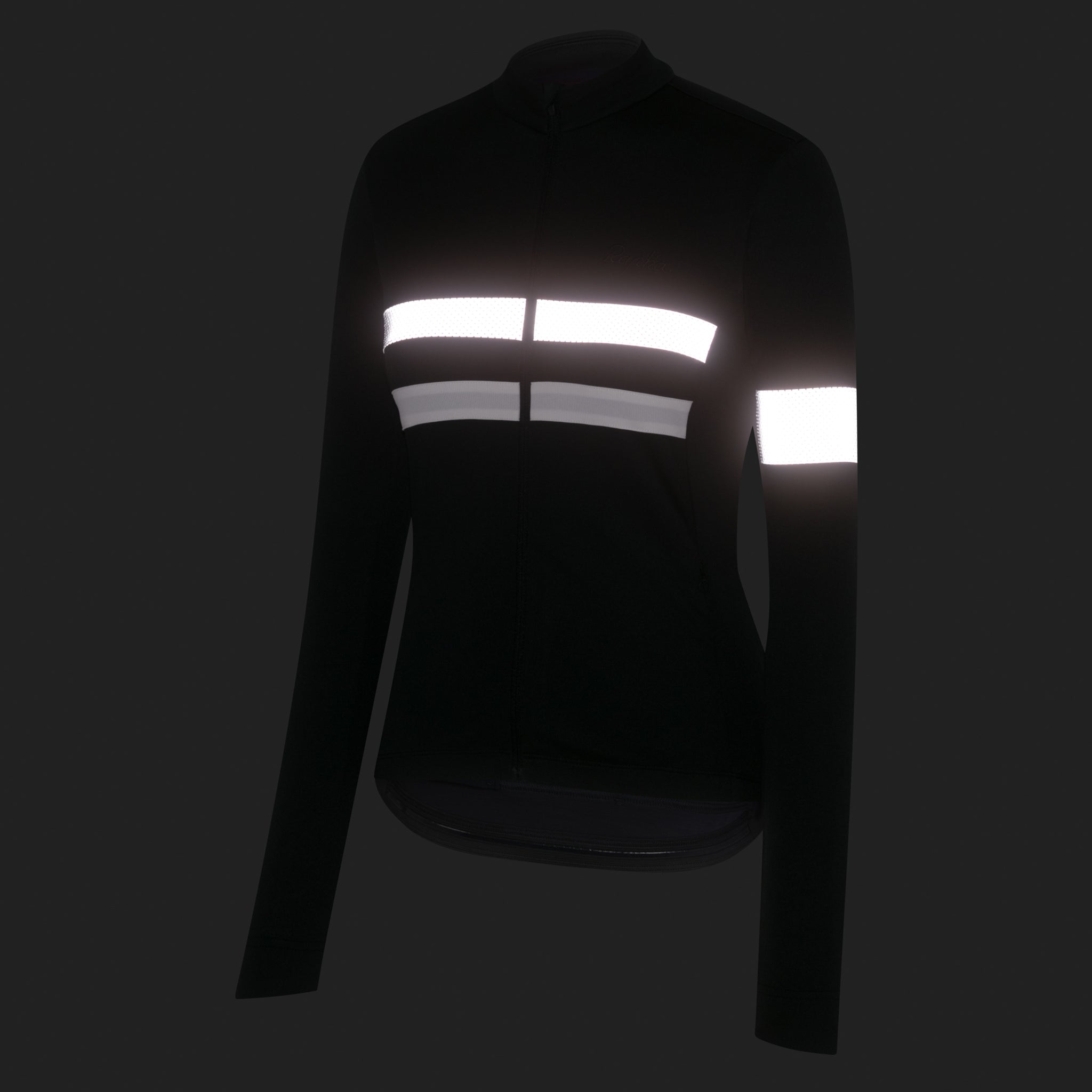 Women's Brevet Long Sleeve Jersey