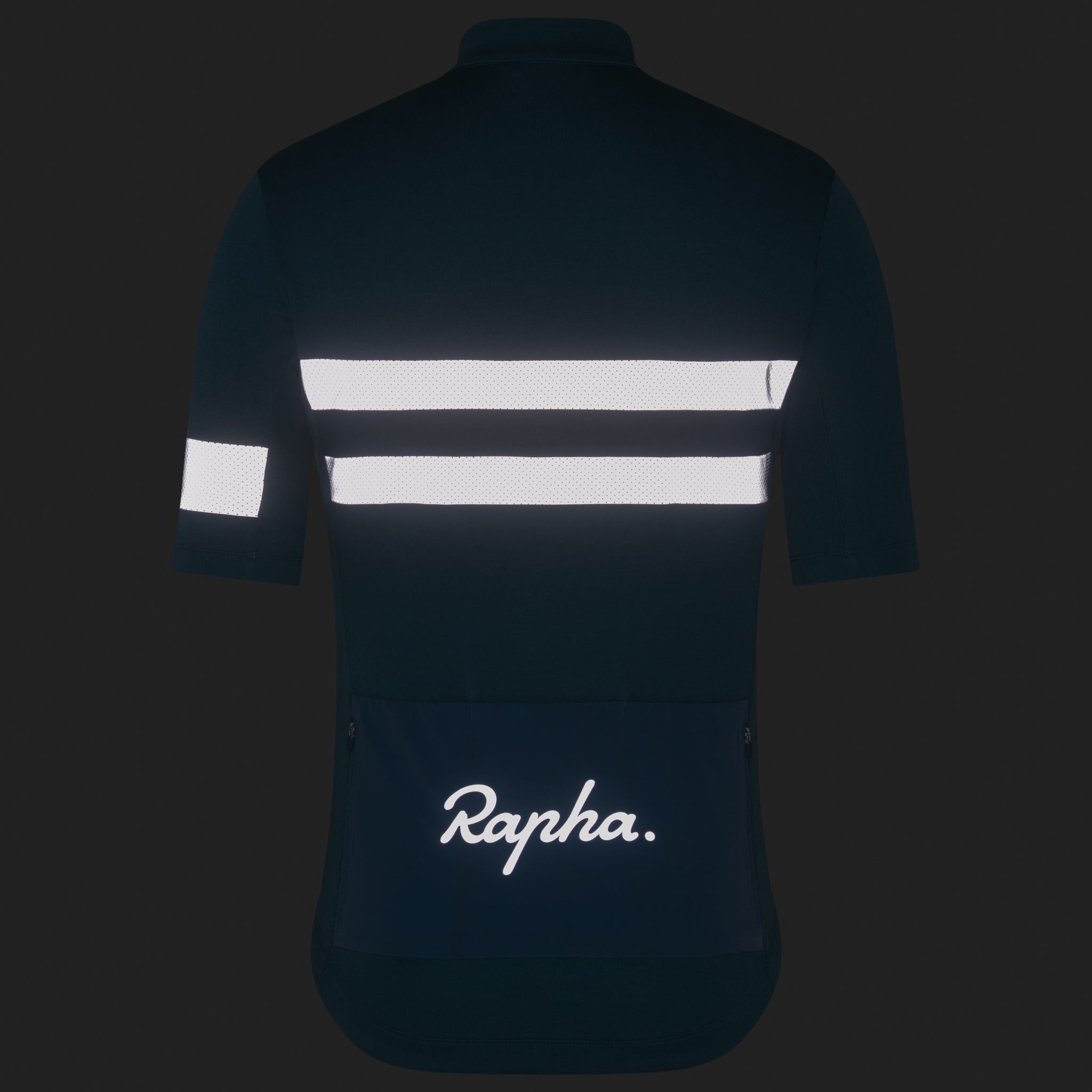 Men's Brevet Jersey