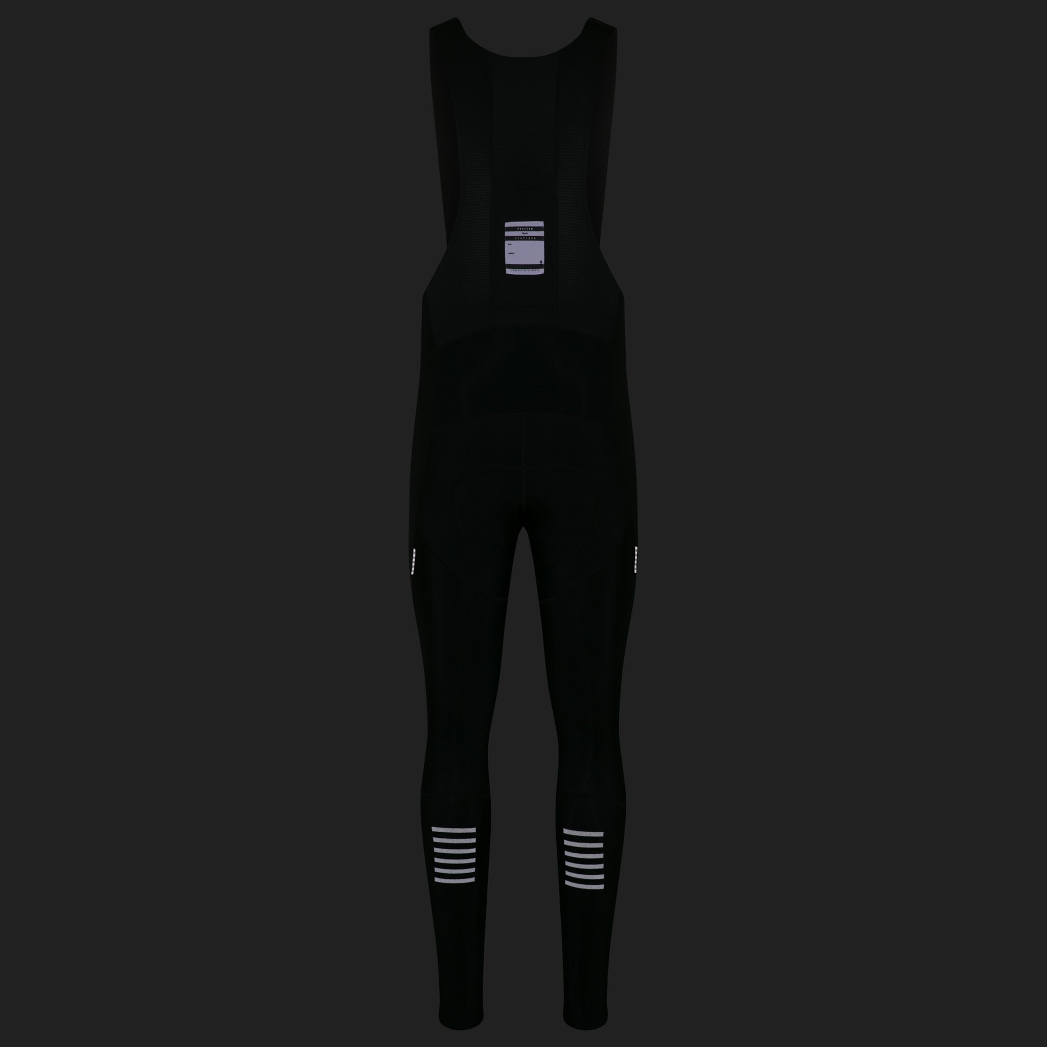 Men's Pro Team Winter Tights with Pad II