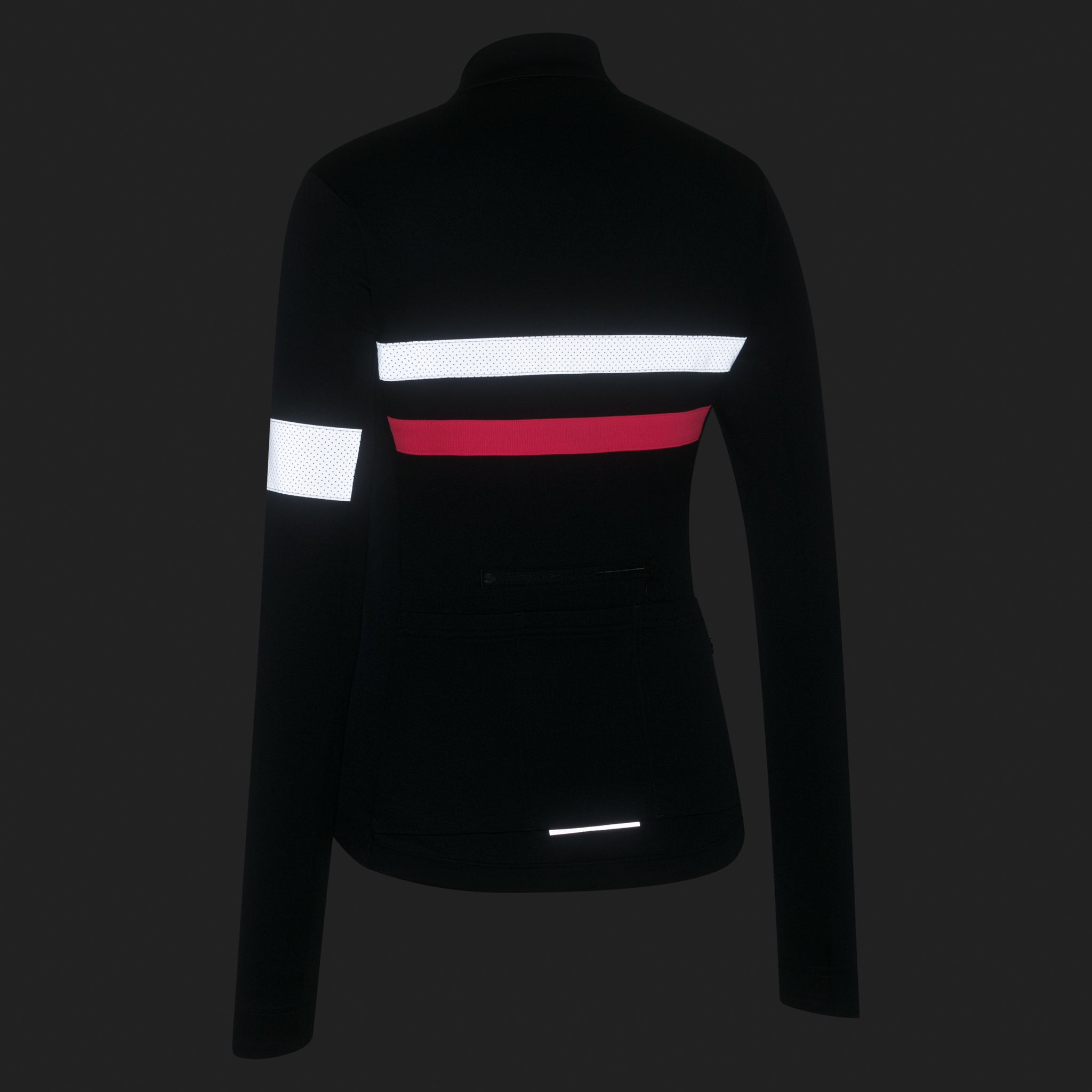 Women's Brevet Long Sleeve Jersey