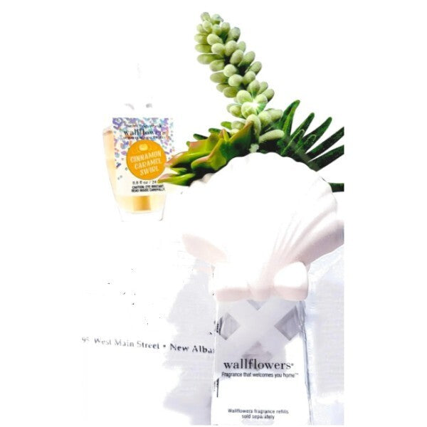 Succulent Seashell Wallflower Plug & Caramel Swirl Bulb