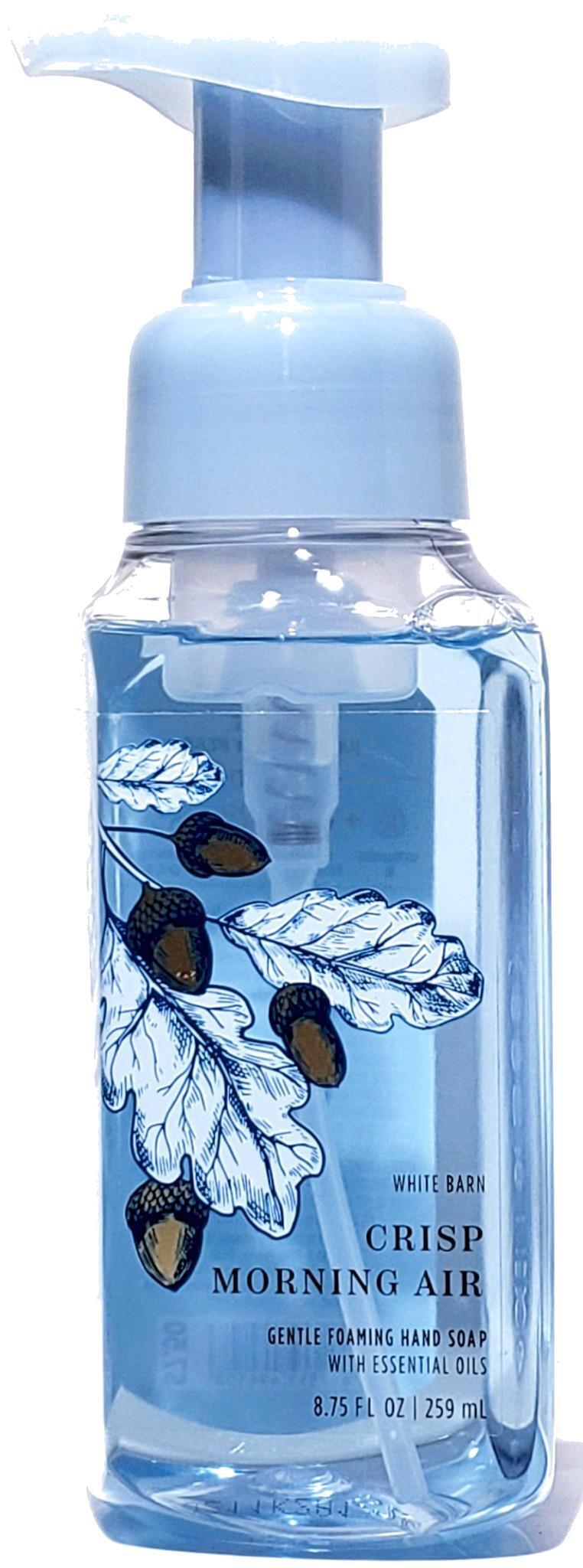 Crisp Morning Air Foaming Hand Soap & PocketBac Gift Set of 2