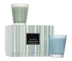Wild Mint & Eucalyptus & Driftwood & Chamomile Classic Candle Set