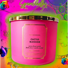 Cactus Blossom 3 Wick Candle