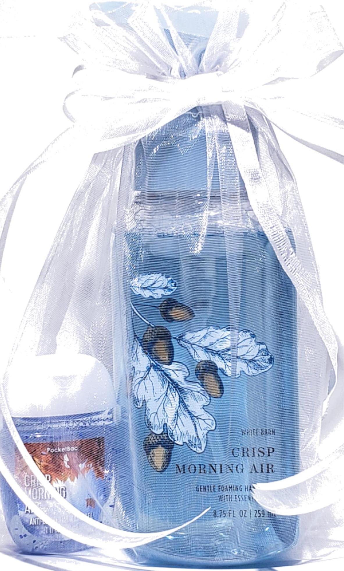 Crisp Morning Air Foaming Hand Soap & PocketBac Gift Set of 2